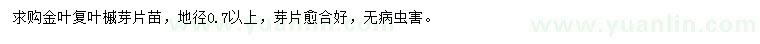求購地徑0.7公分以上金葉復葉槭