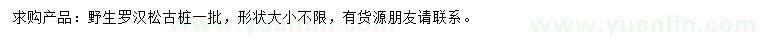 求購野生羅漢松古樁