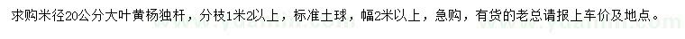 求購(gòu)米徑20公分大葉黃楊