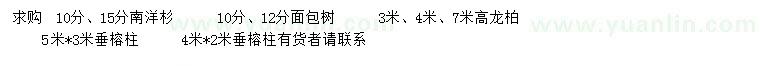 求購南洋杉、面包樹、龍柏等