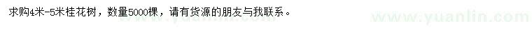 求購(gòu)4-5米桂花樹(shù)