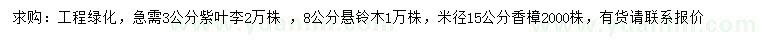 求購紫葉李、懸鈴木、香樟