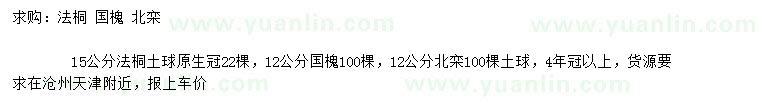 求購法桐、國槐、北欒
