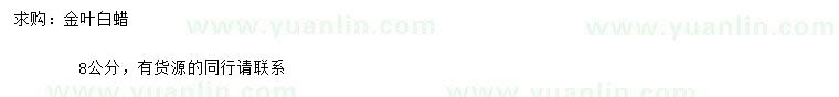 求購(gòu)8公分金葉白蠟