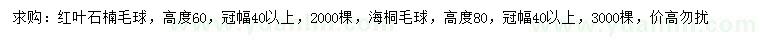 求購(gòu)高60公分紅葉石楠球、高80公分海桐球