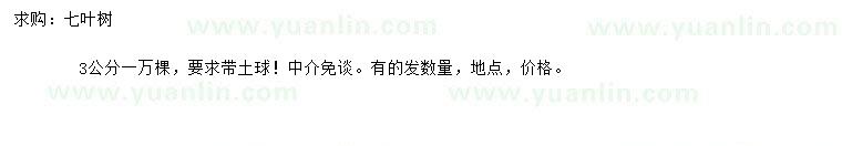 求購(gòu)3公分七葉樹(shù)