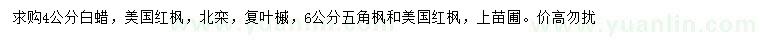 求購白蠟、美國紅楓、北京欒樹等