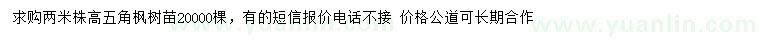 求購高2米五角楓