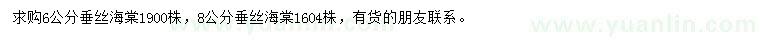 求購(gòu)6、8公分垂絲海棠
