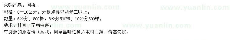 求購6-10公分國槐