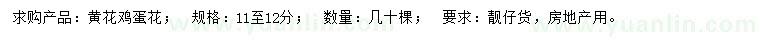 求購(gòu)11-12公分黃花雞蛋花