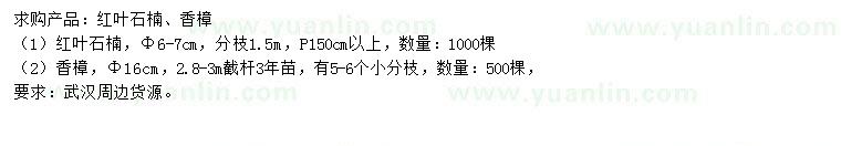求購6-7公分紅葉石楠、16公分香樟