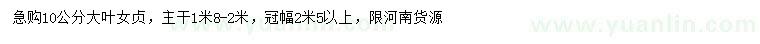 求購10公分大葉女貞