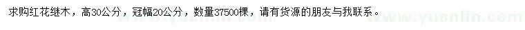 求購高30公分紅花繼木