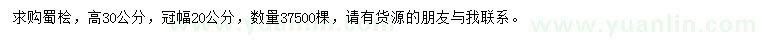 求購(gòu)高30公分蜀檜
