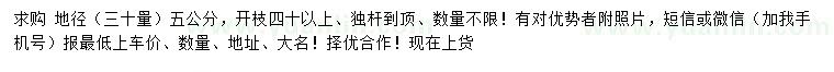求購(gòu)30量5公分羅漢松
