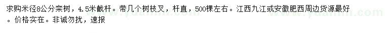 求購米徑8公分欒樹