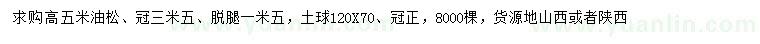 求購高5米油松