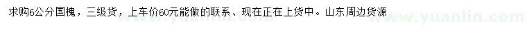 求購6公分國槐