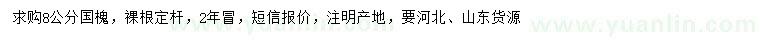 求購8公分國槐