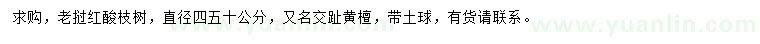 求購(gòu)直徑40-50公分老撾紅酸枝樹(shù)
