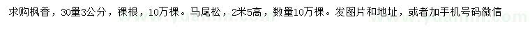 求購(gòu)30量3公分楓香、高2.5米馬尾松