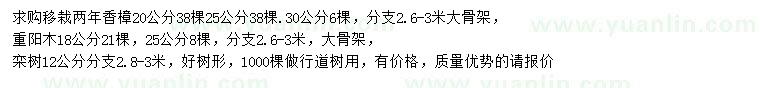求購香樟、重陽木、欒樹