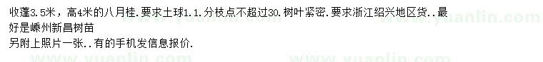 求購高4米八月桂