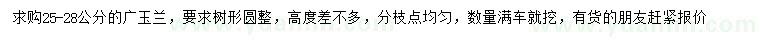 求購25-28公分廣玉蘭