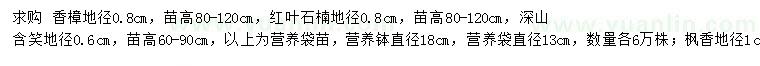 求購香樟、紅葉石楠、深山含笑等