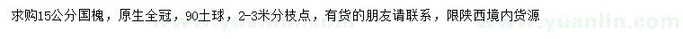 求購15公分國槐