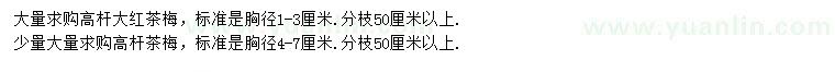 求購胸徑1-3公分大紅茶梅