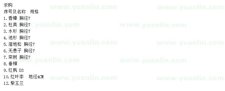 求購(gòu)香樟、杜英、水杉等