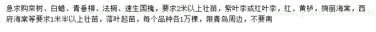求購欒樹、白蠟、青垂柳等