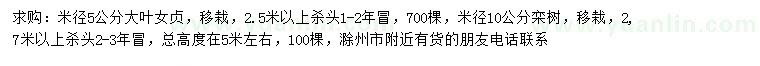 求購(gòu)米徑5公分大葉女貞