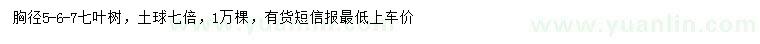 求購胸徑5-6-7公分七葉樹