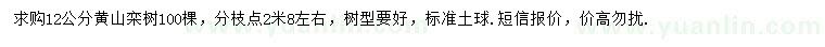 求購(gòu)12公分黃山欒樹