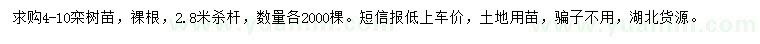 求購4-10公分欒樹