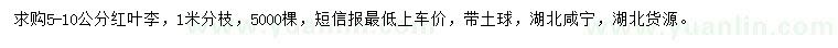 求購(gòu)5-10公分紅葉李