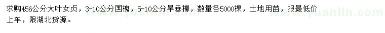 求購(gòu)大葉女貞、國(guó)槐、旱垂柳