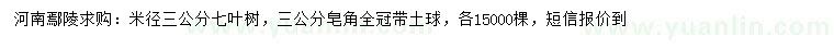 求購米徑3公分七葉樹、皂角