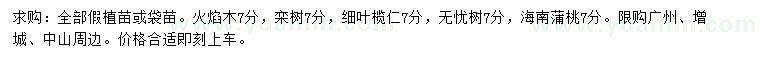 求購火焰木、欒樹、細(xì)葉欖仁等