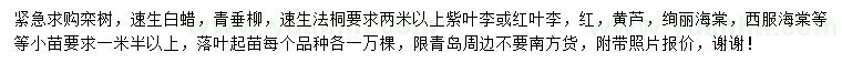 求購欒樹、速生白蠟、青垂柳等