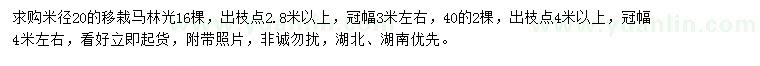 求購米徑20、40公分馬林光