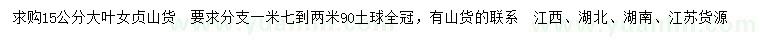 求購15公分大葉女貞