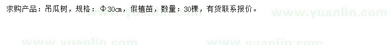 求購30公分吊瓜樹