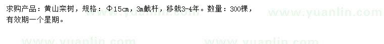 求購15公分黃山欒樹(shù)