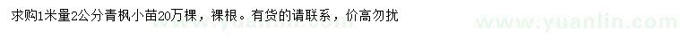 求購(gòu)1米量2公分青楓小苗