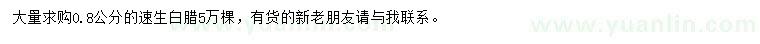 求購0.8公分速生白臘