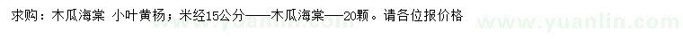 求購米徑15公分木瓜海棠、小葉黃楊